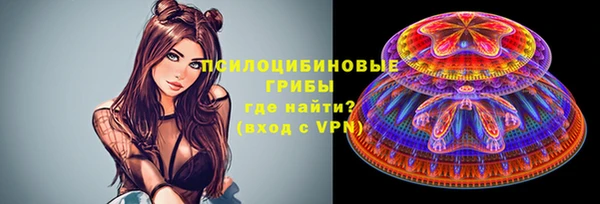 дживик Заволжье