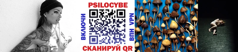 Псилоцибиновые грибы Psilocybine cubensis  Купить  Борисоглебск 